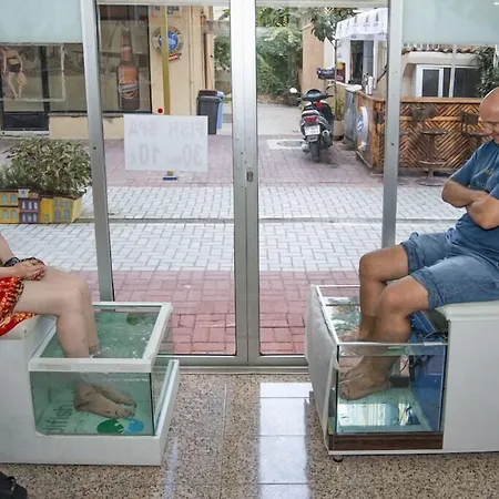 Kleopatra Develi 酒店